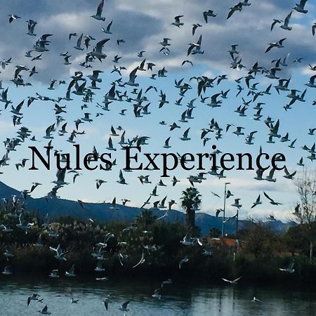 Apartamento Nules Experience Mascarell Екстериор снимка
