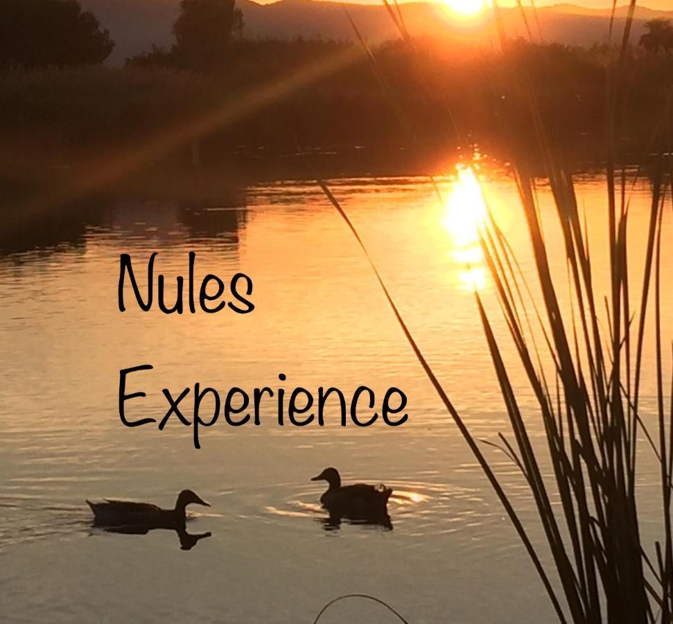 Apartamento Nules Experience Mascarell Екстериор снимка